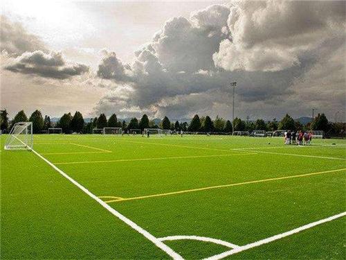 浅析一下人造草坪的使用寿命